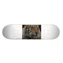 IMG_0334 SKATE BOARD DECKS