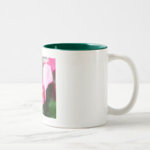 IMG_1071 MUGGAR