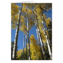 Imponera 7) hälsningkort för aspen (
