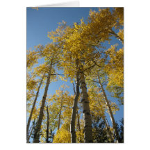 Imponera 8) hälsningkort för aspen (