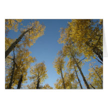 Imponera 9) hälsningkort för aspen (