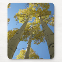 Imponera aspen (12) Mousepad Musmattor