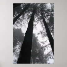 In mot himmlarna print