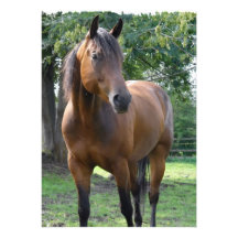 Inbjudan för fjärdThoroughbredhäst