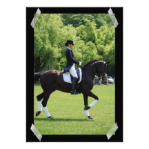 Inbjudan för ryttare för DressagehästShow