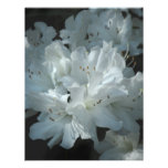 Inbjudan för vitAzaleabröllop