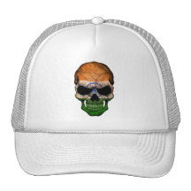 Indian Flag Skull Hat