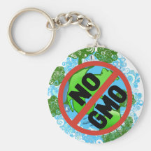 INGEN GMO NYCKEL RINGAR