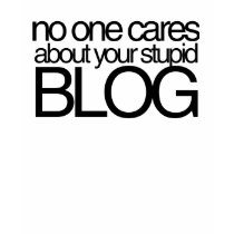 Inget att bry sig om din dumma blogg