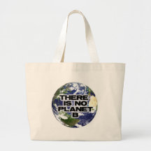 Inget planet B Tygkassar