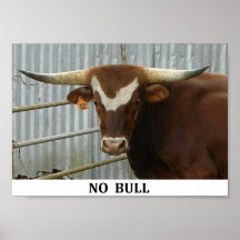 INGET TJURtryck 9,58" x 6,76", Affisch