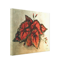 Inlagda Caladiums Canvasduk Med Gallerikvalitet