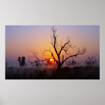 Innehav besegrar solen (Georgia) Posters