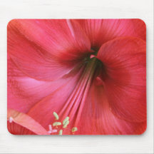 Inre blomma mus mattor