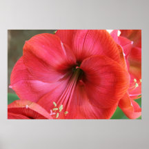 Inre blomma posters