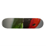 Insektra nyckelpigor skate board deck