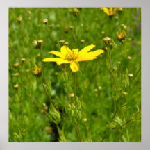 Inspirera gul blomma print