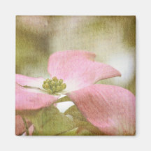 Inspirerad rosa Dogwoodblomma Magnet För Kylskåp