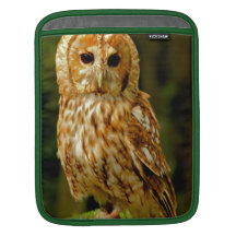 Ipad sleeve för Tawny uggla