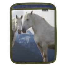 iPad täcker formulerar hästen Sleeves För iPads