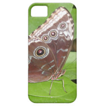Iphone 5 fodral - fjäril iPhone 5 Case-Mate fodraler