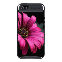 IPhone anpassadefodral med fotoet av daisyn iPhone 5 Cover