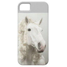 Iphone fodral iPhone 5 Case-Mate fodral