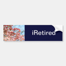 iRetired avgå för bildekalpension