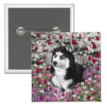 Irie siberian husky i blommor knapp med nål
