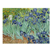 Irises av Vincent Van Gogh Vykort