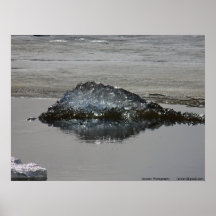 Isillusioner ii print