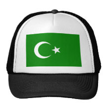 Islamisk republik av Turkestan, Colombia flagga Keps