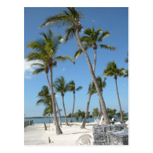 Islamorada Florida strand Vykort