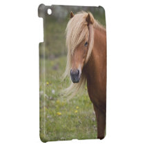 Isländsk häst iPad mini fodral