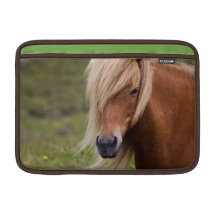 Isländsk häst sleeve för MacBook air