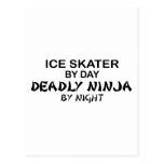 Isskater dödliga Ninja vid natt Vykort