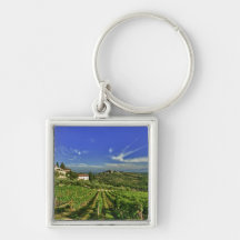 Italien Tuscany, Greve. Vingårdarna av Castello Nyckel Ringar