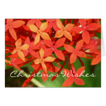 Ixora blomstrar jul Notecard Kort