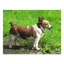 Jack Russell Skräddarsydda Inbjudan