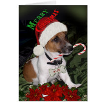 Jack Russell stygga eller trevliga kort