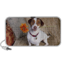 JackRussell Terrier med blommaklotter Högtalare