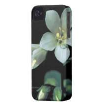 Jacob fodral för stegeiPhone 4/4S iPhone 4 Case-Mate Cases