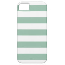Jade Stripes Pattern iPhone 5 Case