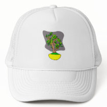 JadeBonsai i gul kruka Kepsar