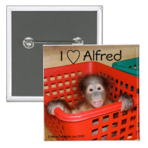 Jag älskar Alfred orangutanbebiset Pins