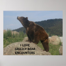 JAG ÄLSKAR GRIZZLYBJÖRNMÖTEN POSTERS