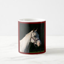 JAG ÄLSKAR HÄSTAR KAFFE MUGG