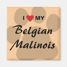 Jag älskar (hjärta) min belgiska Malinois Pawprint Kylskåps Magneter