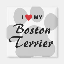 Jag älskar (hjärta) min Boston Terrier Pawprint Magneter