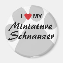 Jag älskar (hjärta) min miniatyrSchnauzer Pawprint Kylskåps Magneter